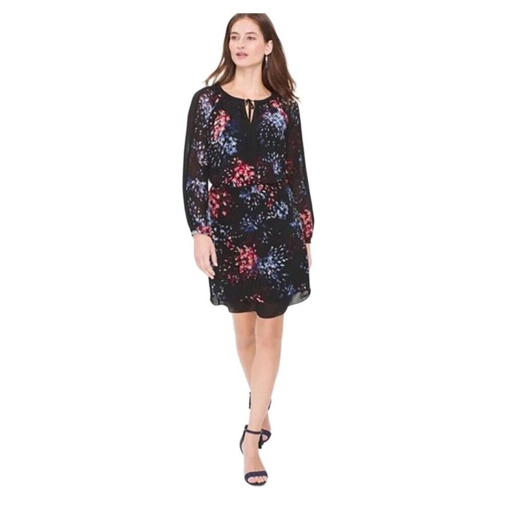 WHBM Long Sleeve Chiffon Black Dress with Blue White Red Pink Floral Size 2